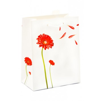 Premium Gift Bags Best Wishes, Large (12) GBLBW